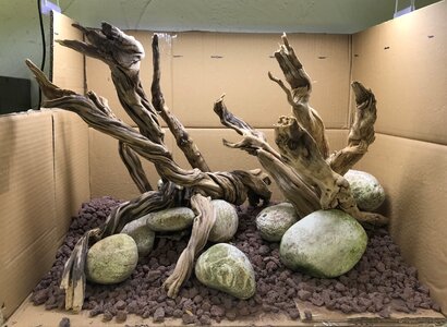 Hardscape.jpg Hardscape.jpg