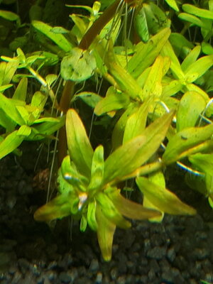 20220104_150310.jpg