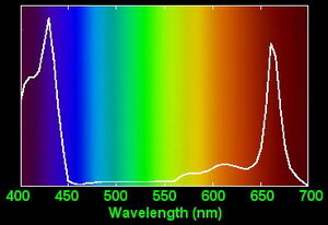 Chlorophyll-absorption-spectrum von Tropica.jpg