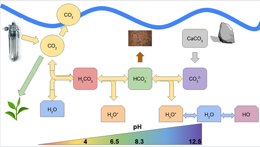 Carbonat System Aquarium.png Carbonat System Aquarium.png