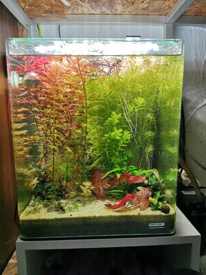 30l Cube 12. Januar 2022