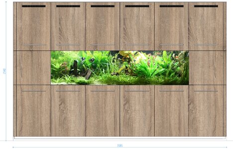 Layout Sanoma.jpg