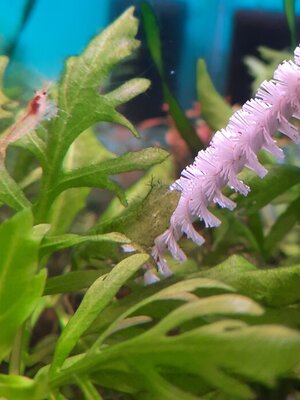 20220310_150616.jpg