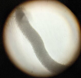 mikroskop2.jpg