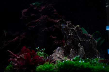Lavadragon 01042022 (10 of 10).jpg