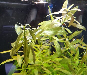 13.04.22.jpg 13.04.22.jpg