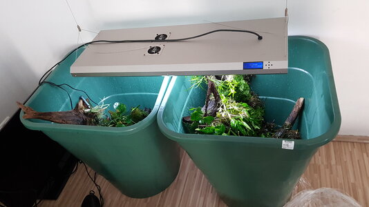 IMG-20220603-WA0005.jpeg