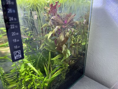 IMG_1082.JPG