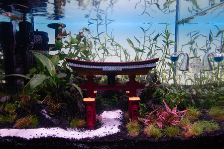 Bettatemple 130922 (1 of 9).jpg