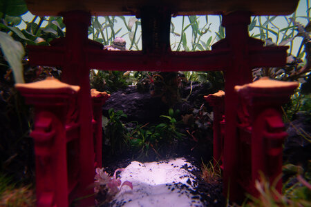 Bettatemple 130922 (6 of 9).jpg
