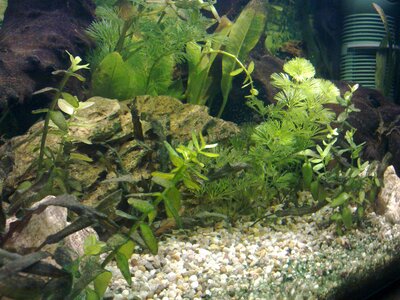 12012011086.jpg