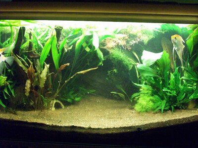 100_0271.JPG