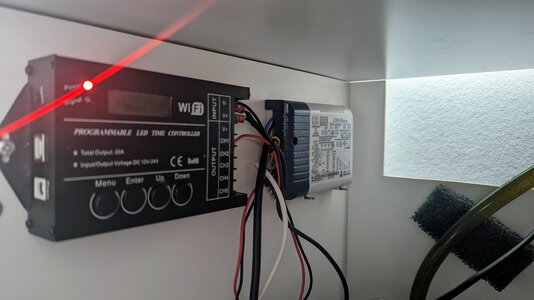 PXL_20221219_122257706.jpg