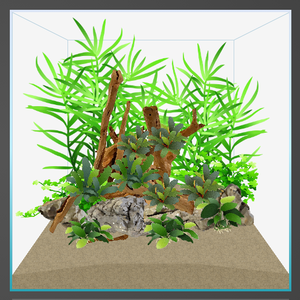 15L Cube.png