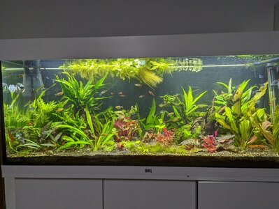 aquarium.jpg
