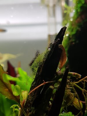 20230210_183145.jpg