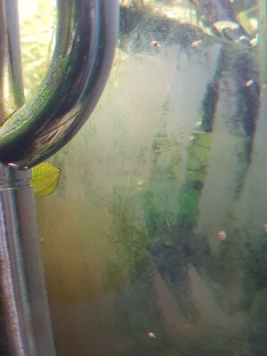 20230210_183049.jpg