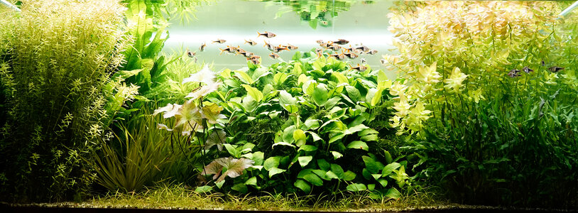 Aquarium 26.04.2023.jpg