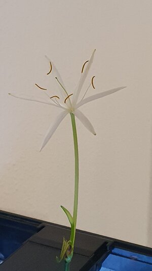20230526_203814.jpg
