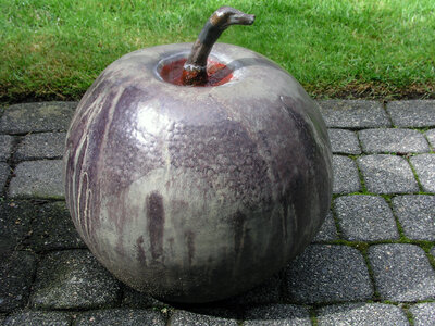 Keramikapfe mit Haematococcus Pluvialis 09.08.2023-1.jpg