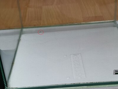 IMG_20230825_162333_neu.jpg
