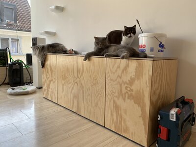 IMG_0982.jpeg