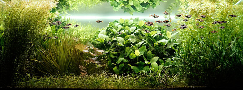 Aquarium 17.09.2023.jpg