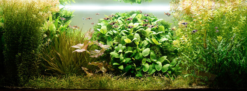 Aquarium 03.10.2023.jpg