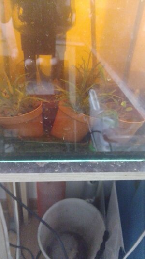 IMG-20230729-WA0000.jpeg