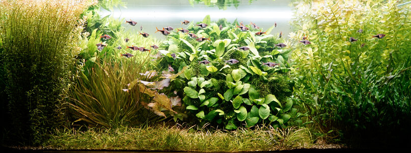 Aquarium 09.10.2023.jpg