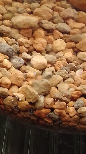 IMG-20231027-WA0006.jpeg