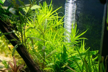 20231217 (14).jpg