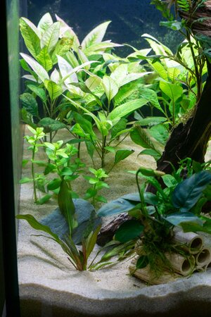 20231217 (17).jpg