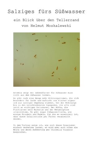 salzplakat.jpg