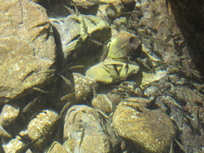 wadi-banid-khalid.garra.1.jpg