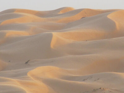 ramlat-al-wahiba.1.jpg
