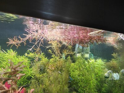 IMG20240109160131.jpg