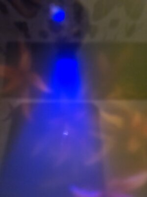 20240121_220447.jpg