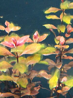 IMG_20240218_215224.jpg