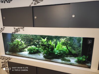 AQ_19.03.24.jpg