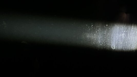 IMG_7510.jpeg