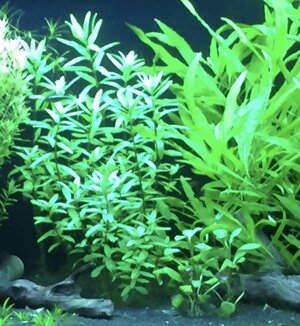 IMG_0473.jpeg