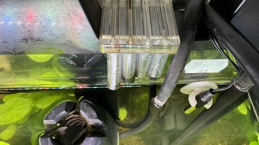 IMG_6460.jpeg