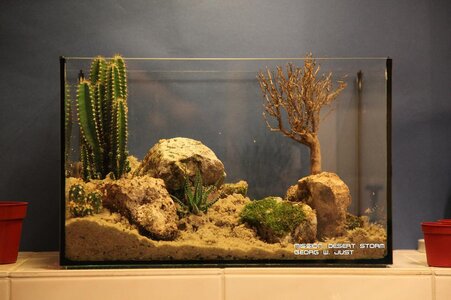 desert_storm08.JPG