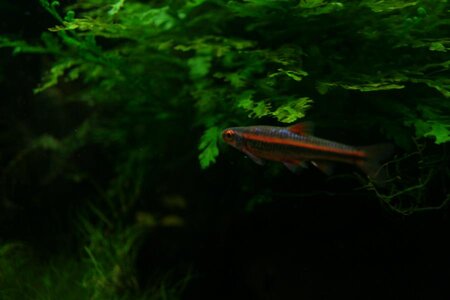 K800_Bild 085.JPG