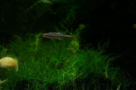 K800_Bild 086.JPG