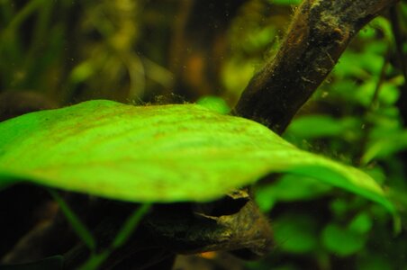 DSC_0602.JPG