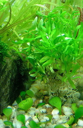 PICT0262 copy.jpg