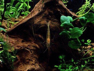 AQ 23.FEB 2011 034.JPG