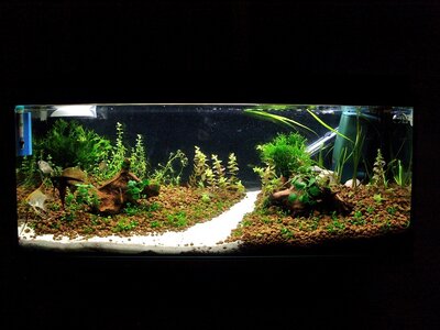 AQ 23.FEB 2011 005.JPG